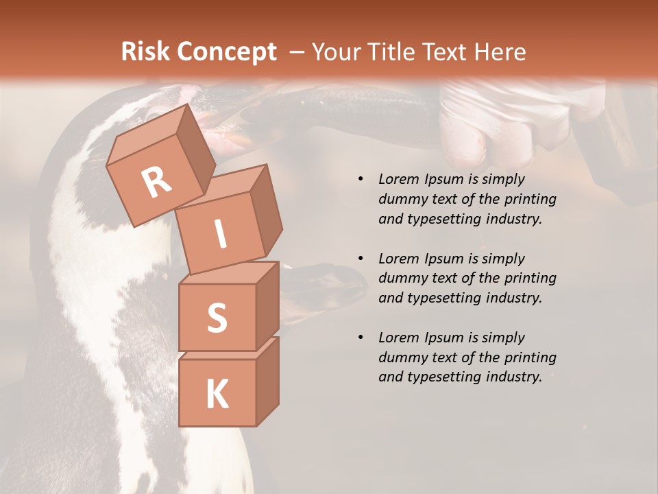 Sea Animal Enjoy PowerPoint Template