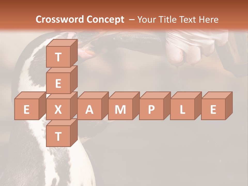 Sea Animal Enjoy PowerPoint Template