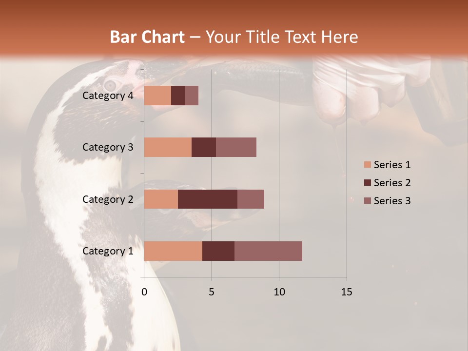 Sea Animal Enjoy PowerPoint Template