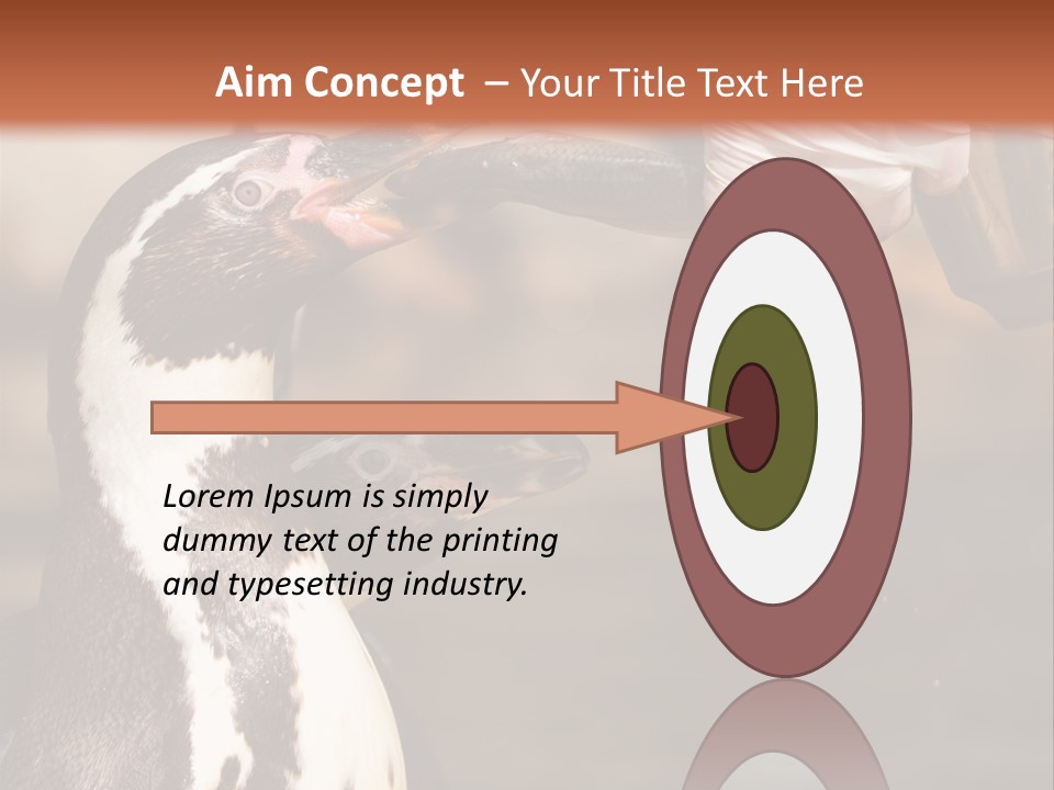 Sea Animal Enjoy PowerPoint Template