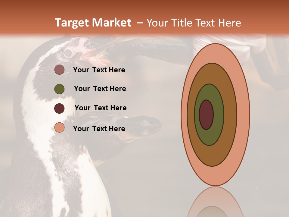 Sea Animal Enjoy PowerPoint Template