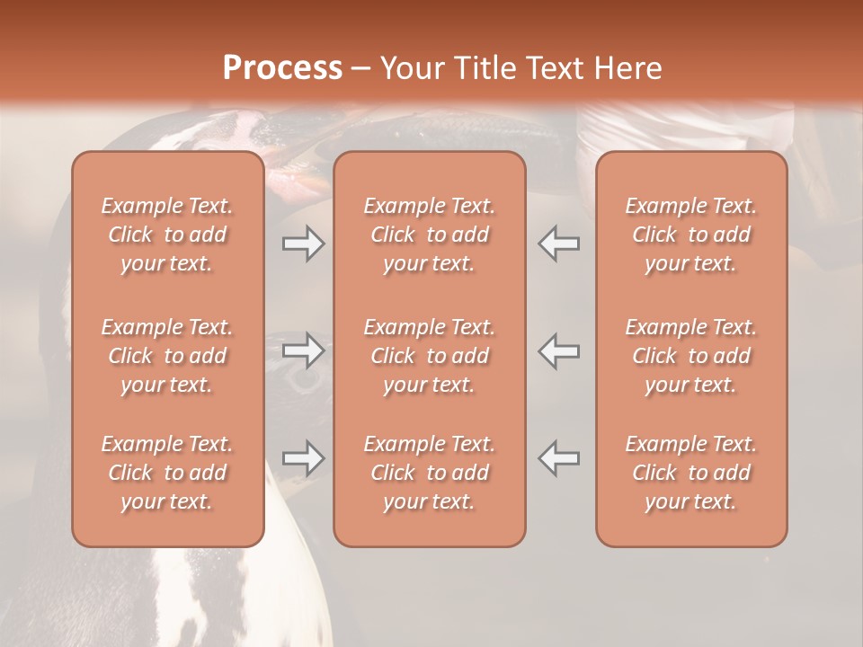 Sea Animal Enjoy PowerPoint Template