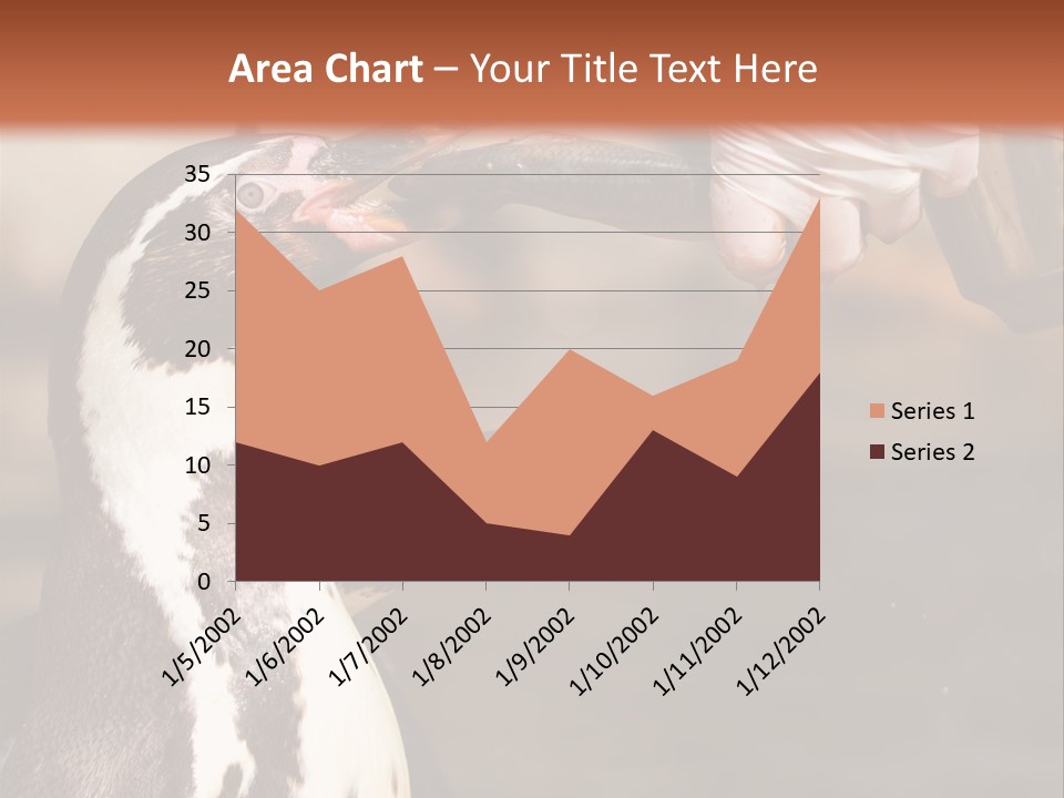 Sea Animal Enjoy PowerPoint Template