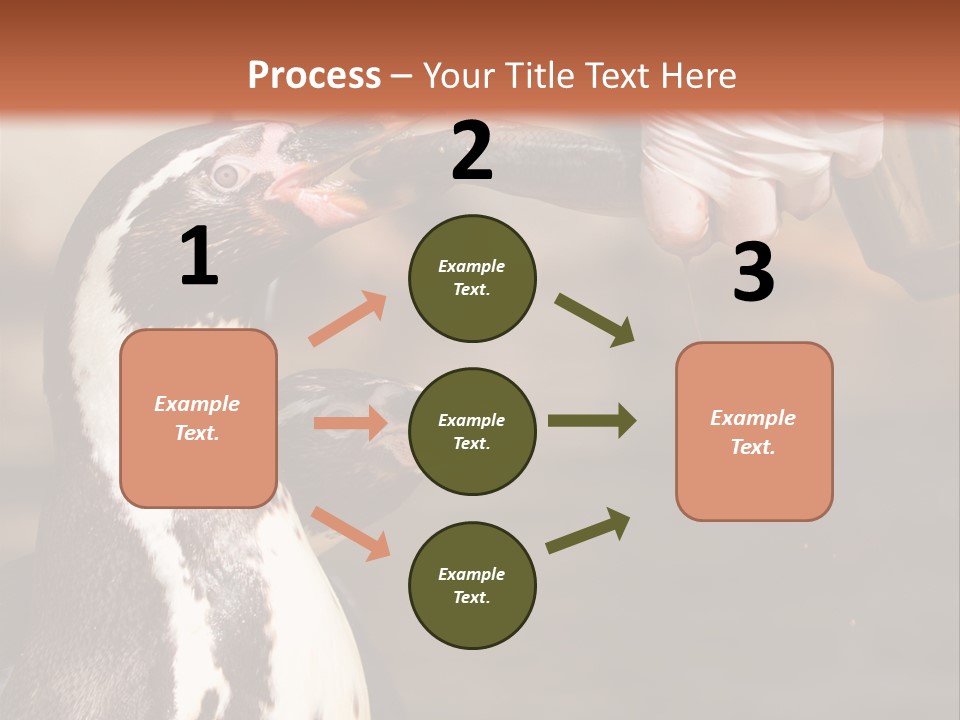 Sea Animal Enjoy PowerPoint Template