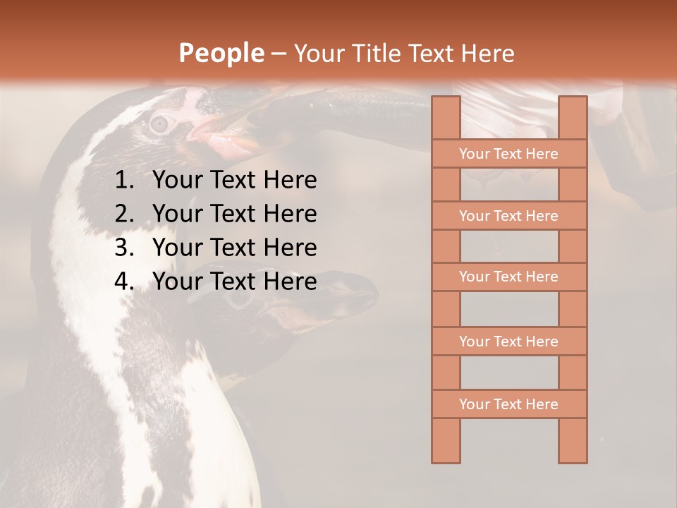 Sea Animal Enjoy PowerPoint Template