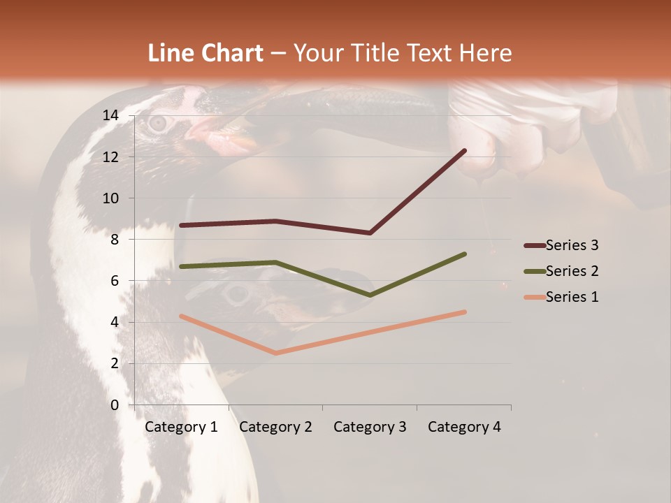 Sea Animal Enjoy PowerPoint Template