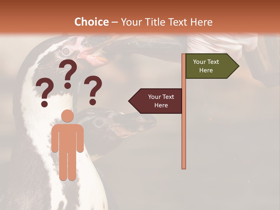 Sea Animal Enjoy PowerPoint Template