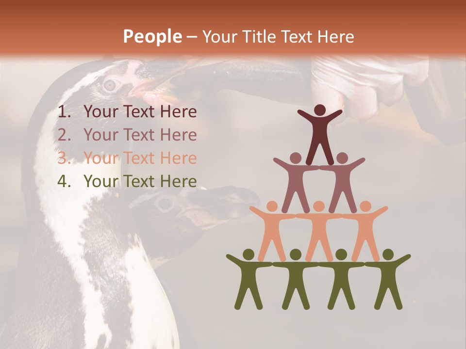 Sea Animal Enjoy PowerPoint Template