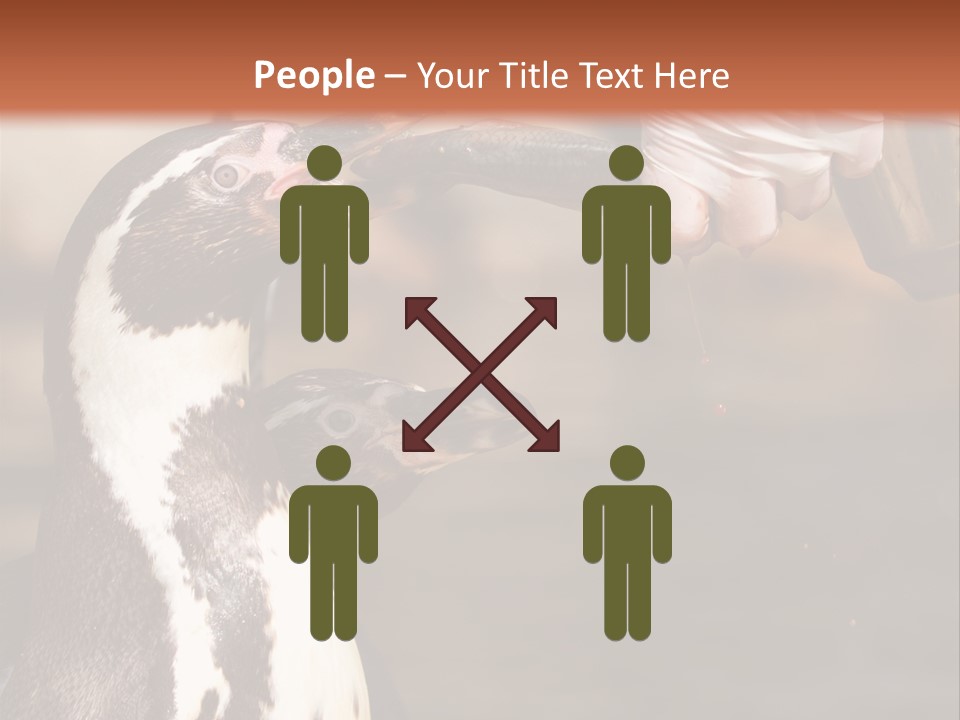 Sea Animal Enjoy PowerPoint Template