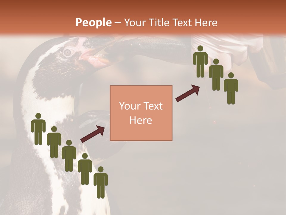 Sea Animal Enjoy PowerPoint Template