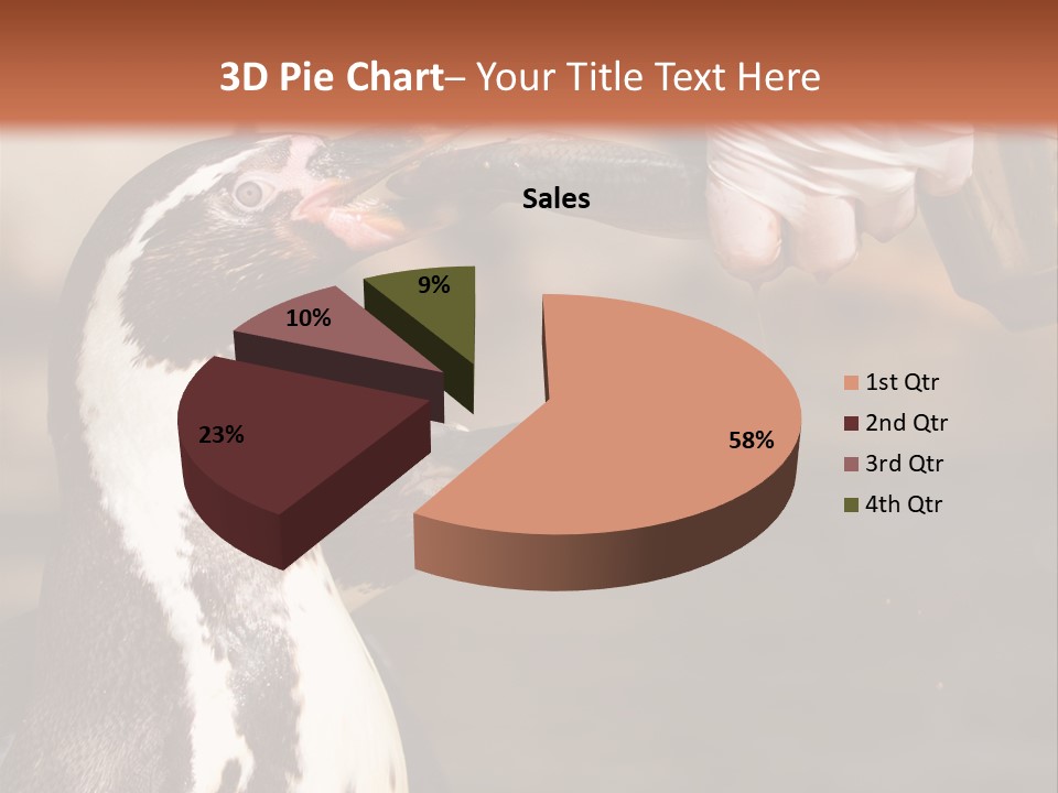 Sea Animal Enjoy PowerPoint Template