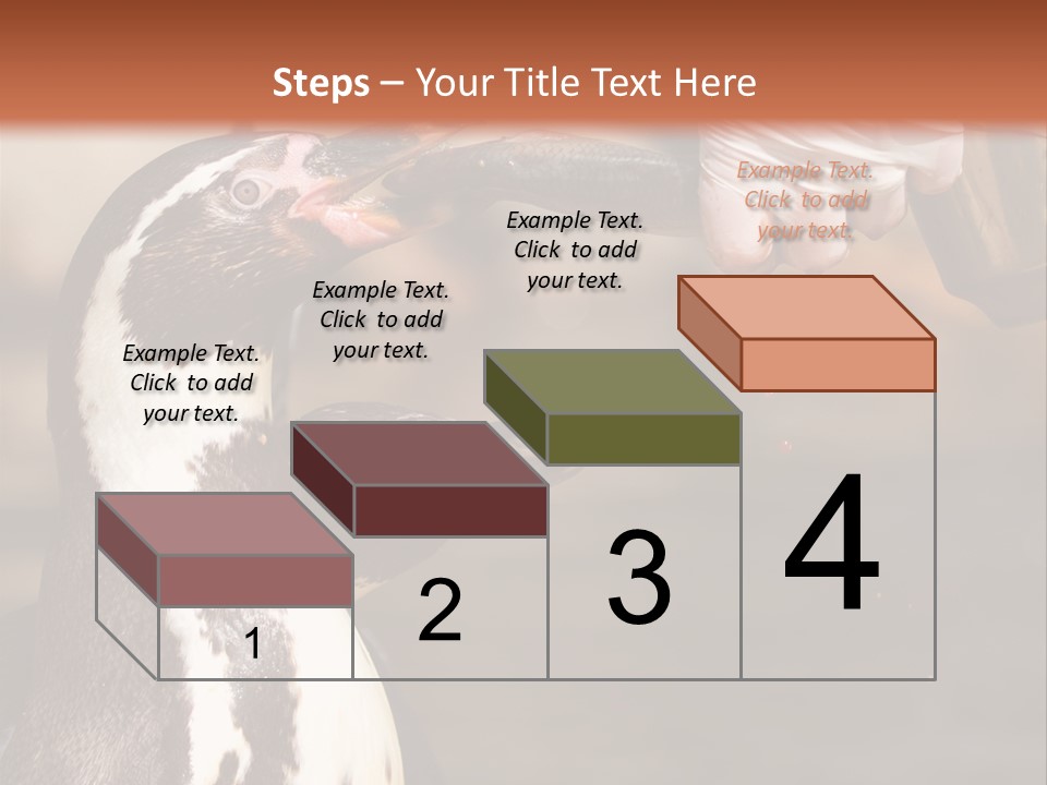 Sea Animal Enjoy PowerPoint Template