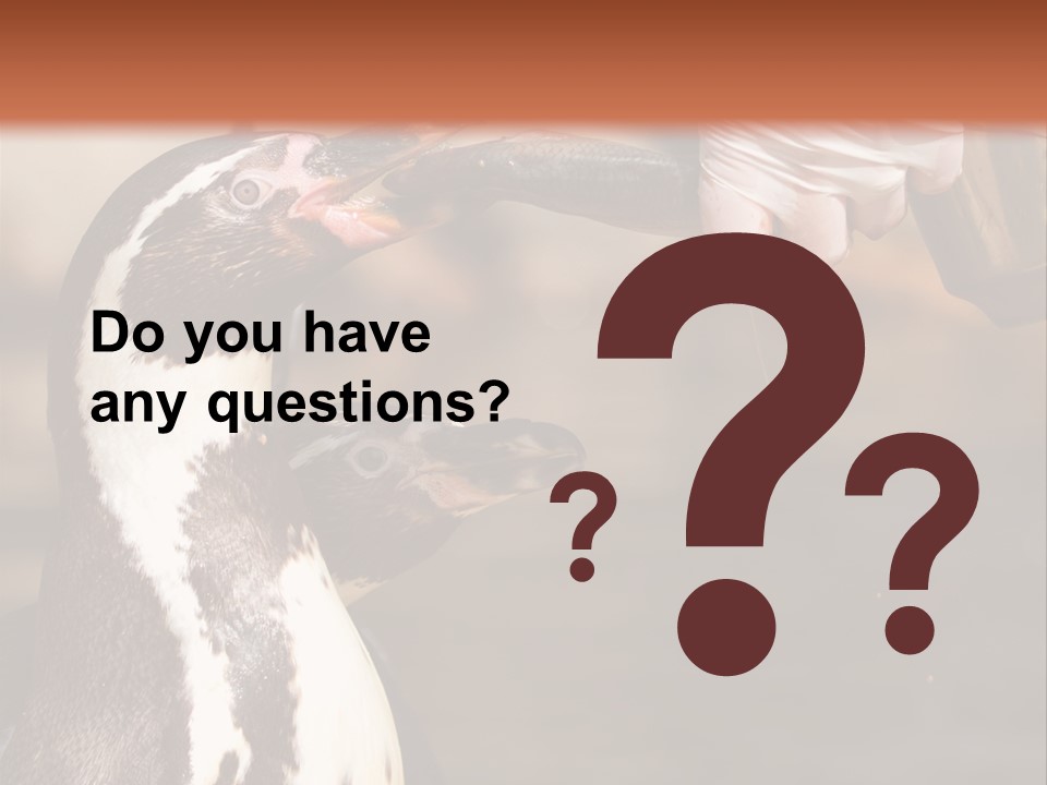 Sea Animal Enjoy PowerPoint Template