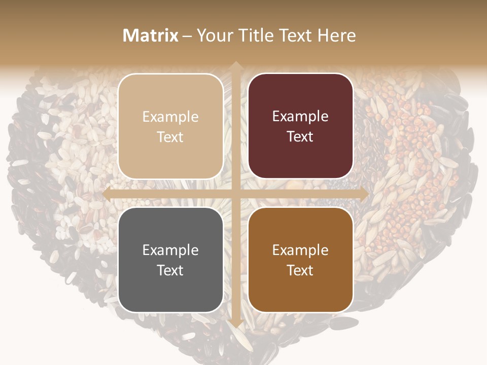 Seed Collection Sunflower PowerPoint Template