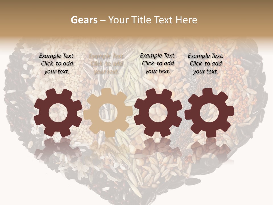 Seed Collection Sunflower PowerPoint Template