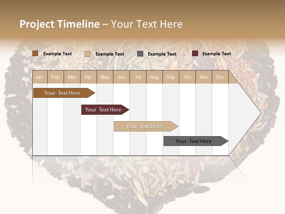 Seed Collection Sunflower PowerPoint Template