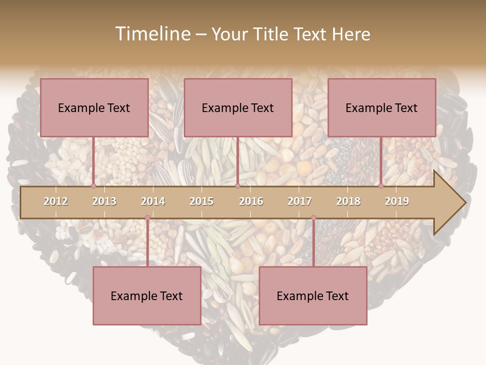 Seed Collection Sunflower PowerPoint Template