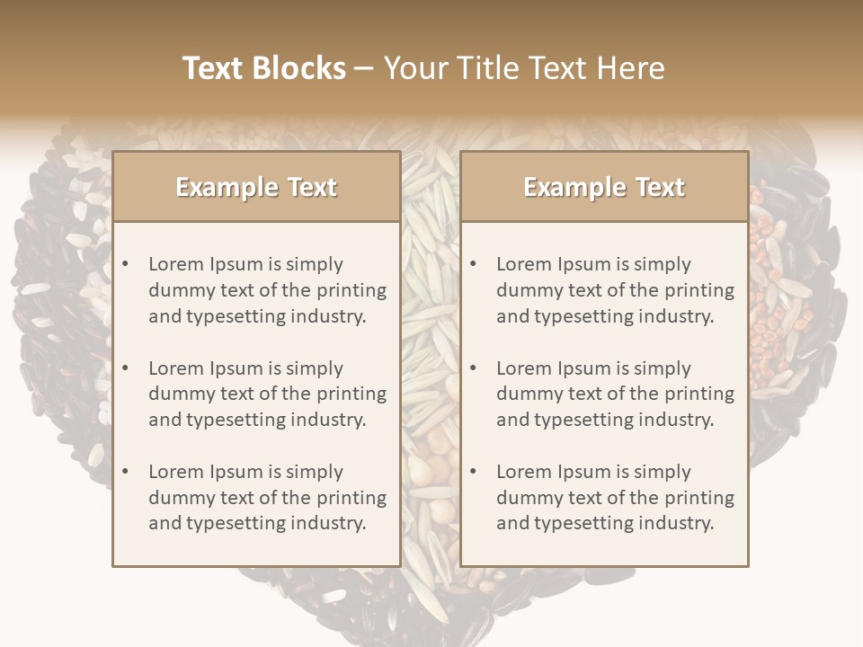 Seed Collection Sunflower PowerPoint Template