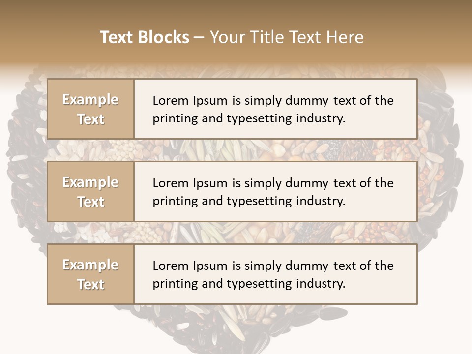 Seed Collection Sunflower PowerPoint Template