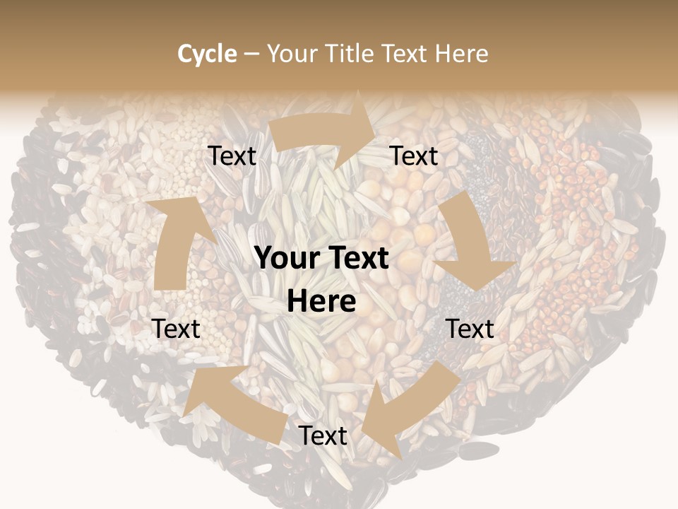 Seed Collection Sunflower PowerPoint Template