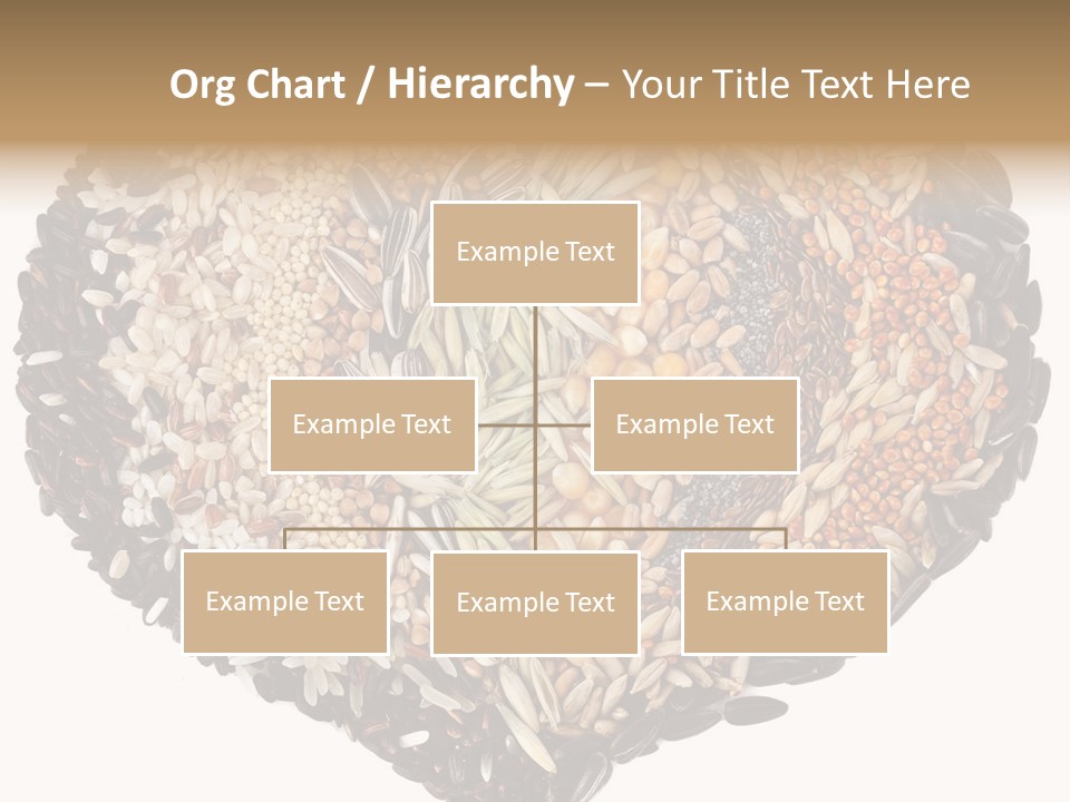 Seed Collection Sunflower PowerPoint Template
