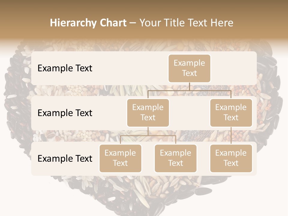 Seed Collection Sunflower PowerPoint Template