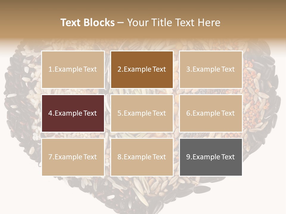 Seed Collection Sunflower PowerPoint Template