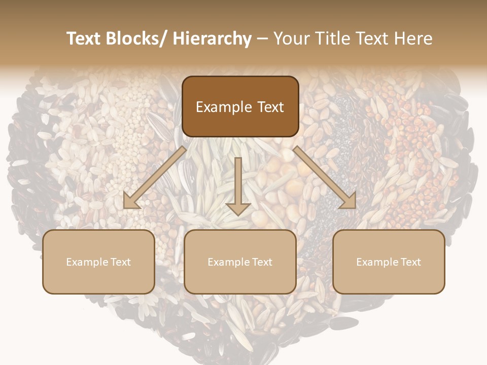 Seed Collection Sunflower PowerPoint Template