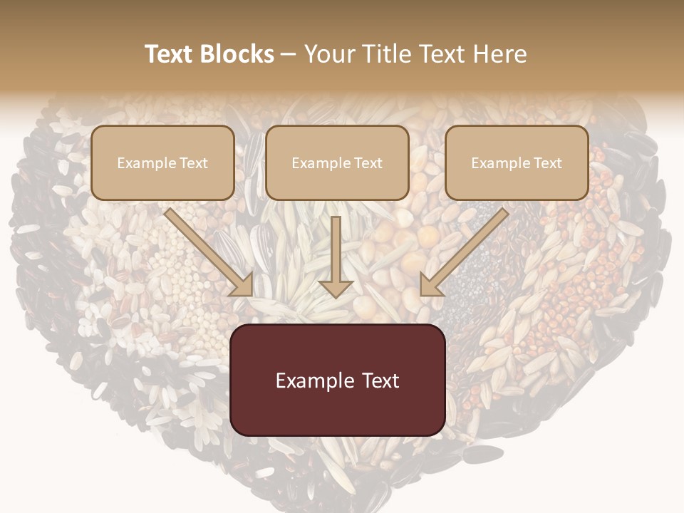 Seed Collection Sunflower PowerPoint Template