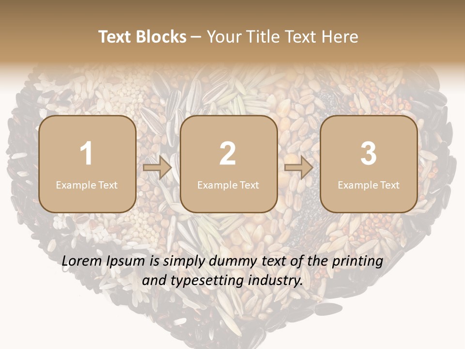 Seed Collection Sunflower PowerPoint Template