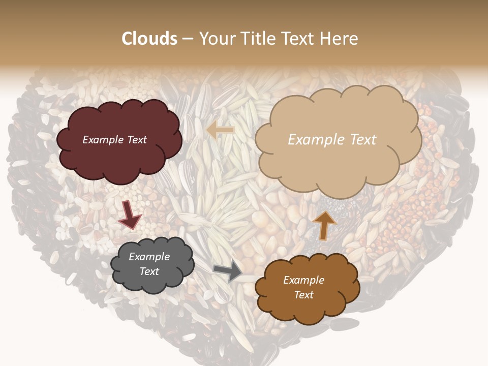 Seed Collection Sunflower PowerPoint Template