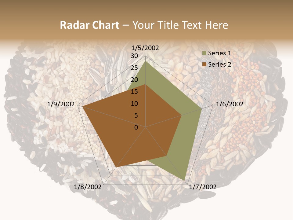 Seed Collection Sunflower PowerPoint Template