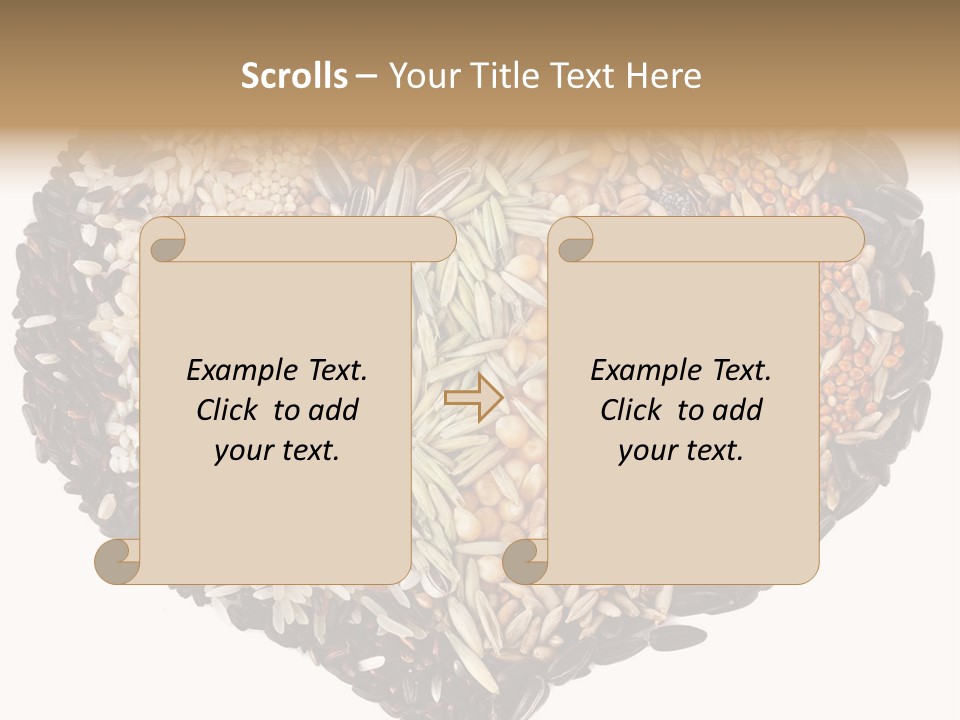 Seed Collection Sunflower PowerPoint Template