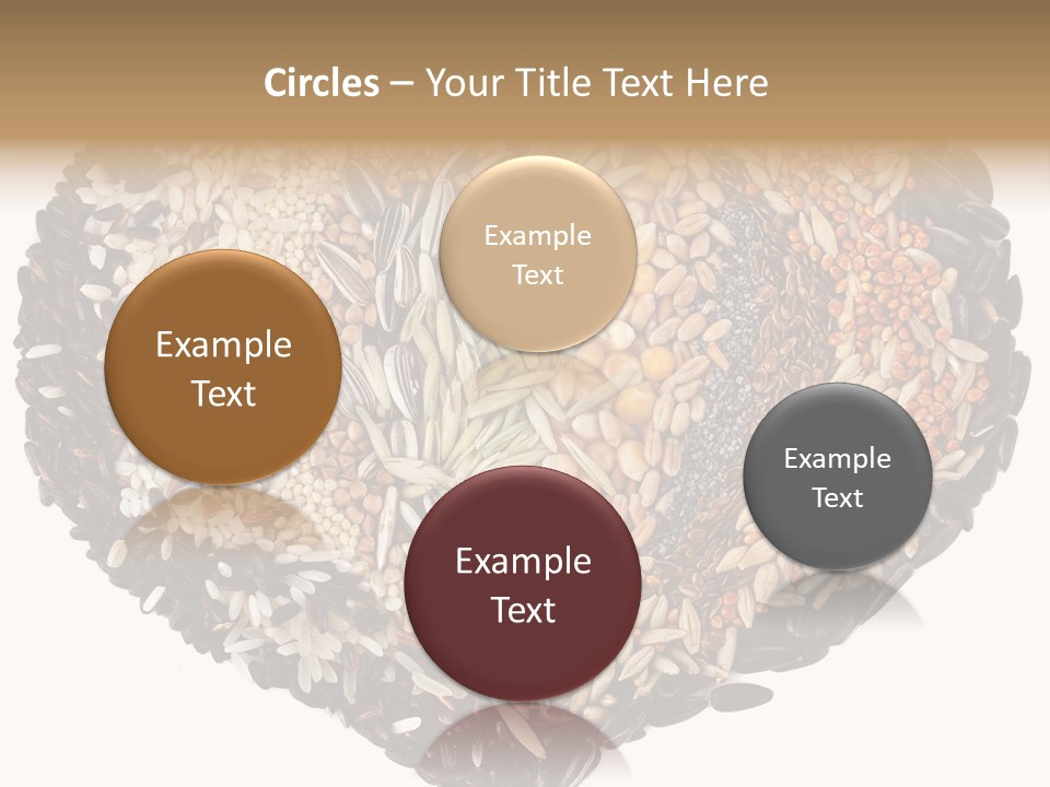 Seed Collection Sunflower PowerPoint Template