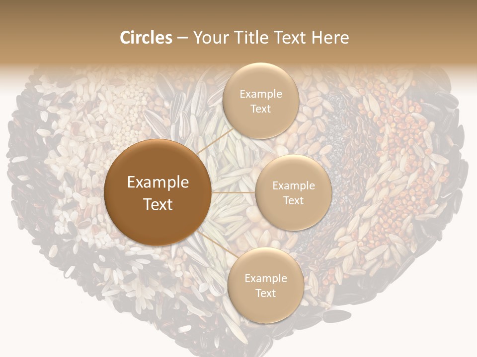 Seed Collection Sunflower PowerPoint Template