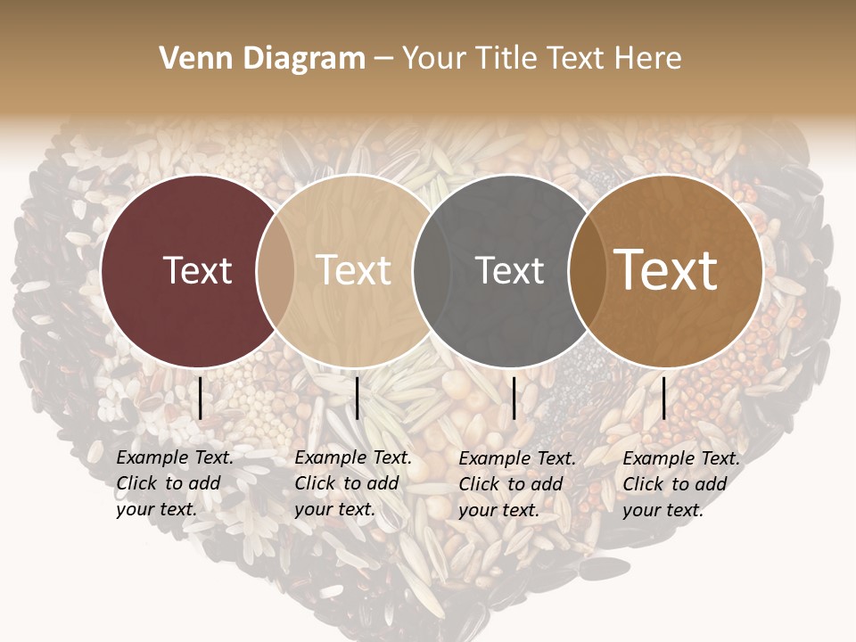 Seed Collection Sunflower PowerPoint Template