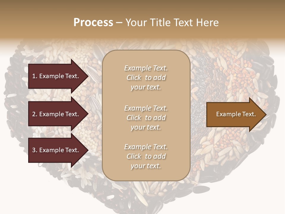 Seed Collection Sunflower PowerPoint Template