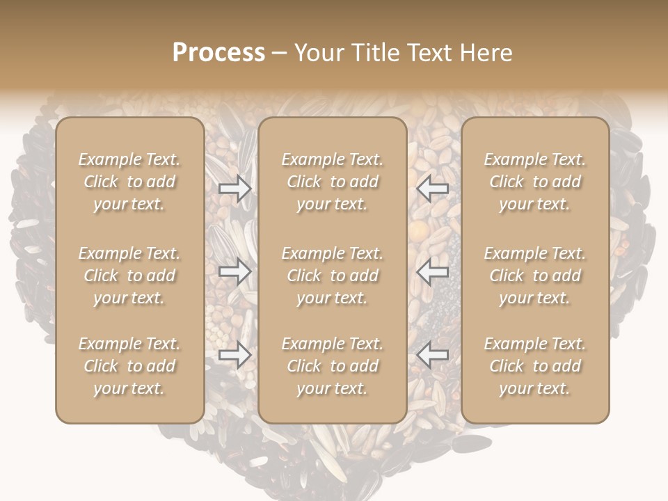 Seed Collection Sunflower PowerPoint Template