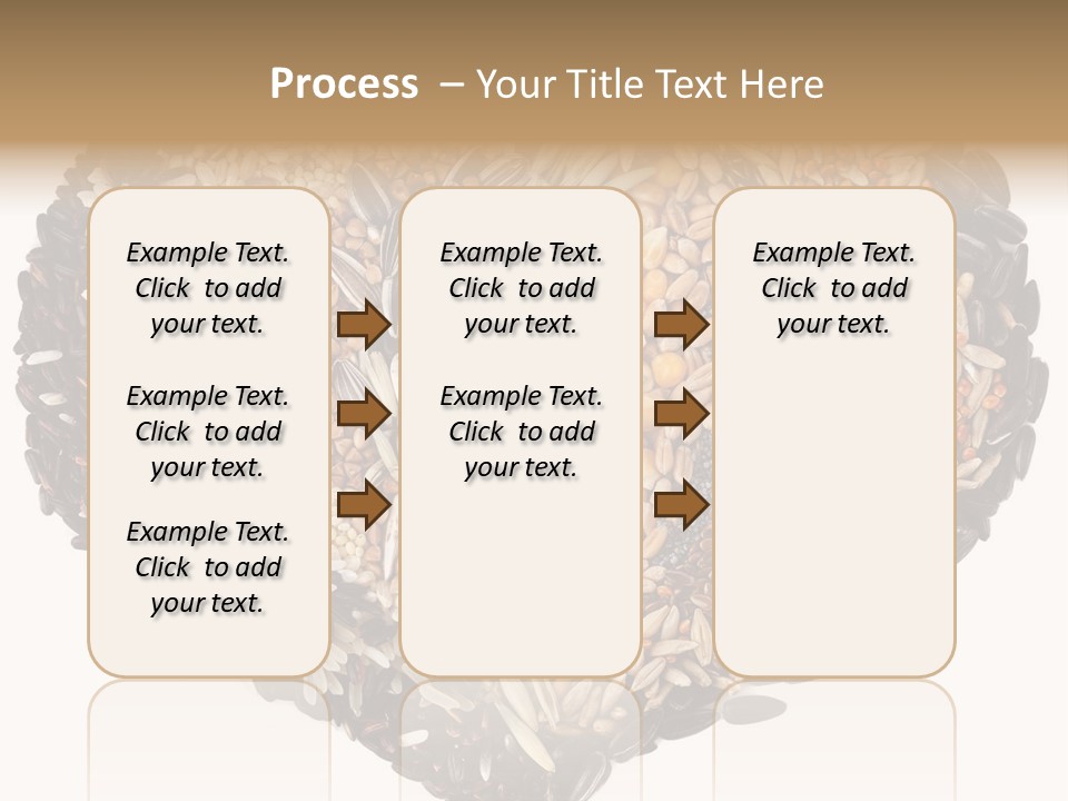 Seed Collection Sunflower PowerPoint Template