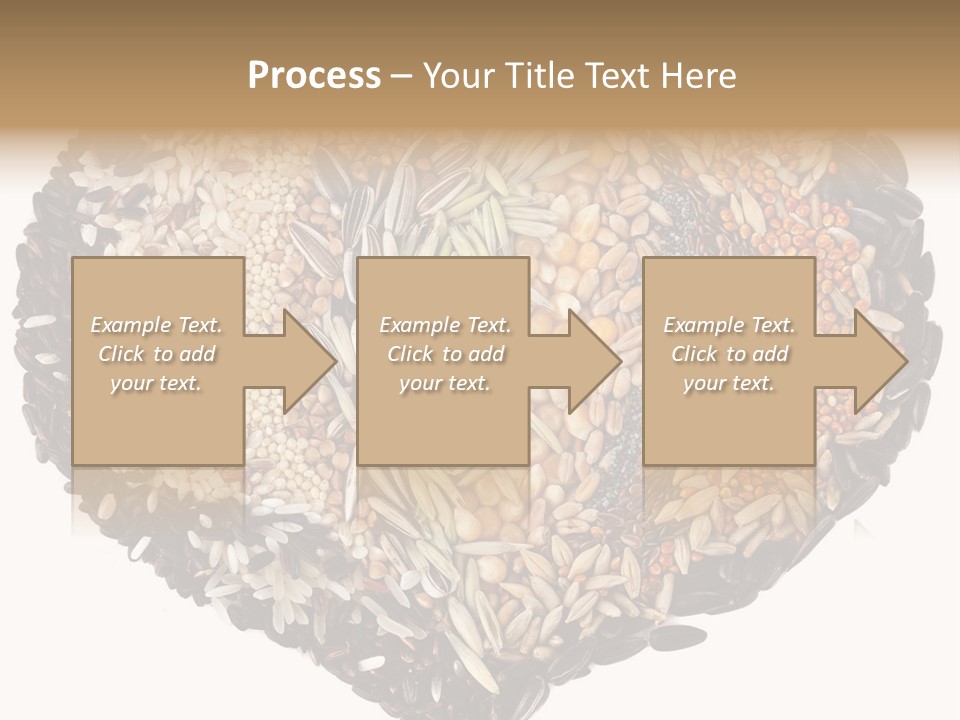Seed Collection Sunflower PowerPoint Template