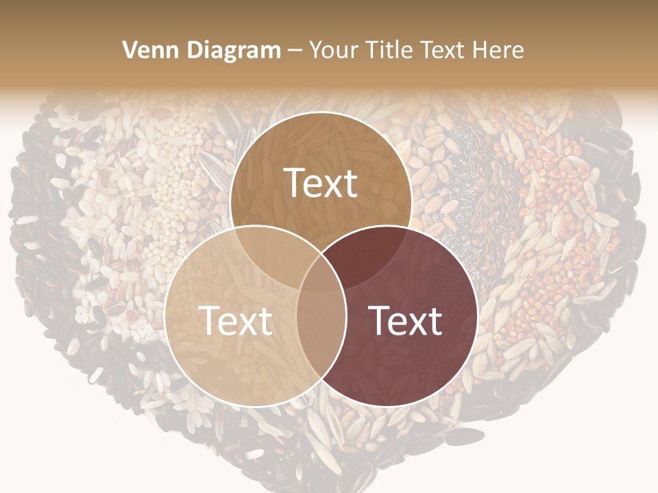 Seed Collection Sunflower PowerPoint Template