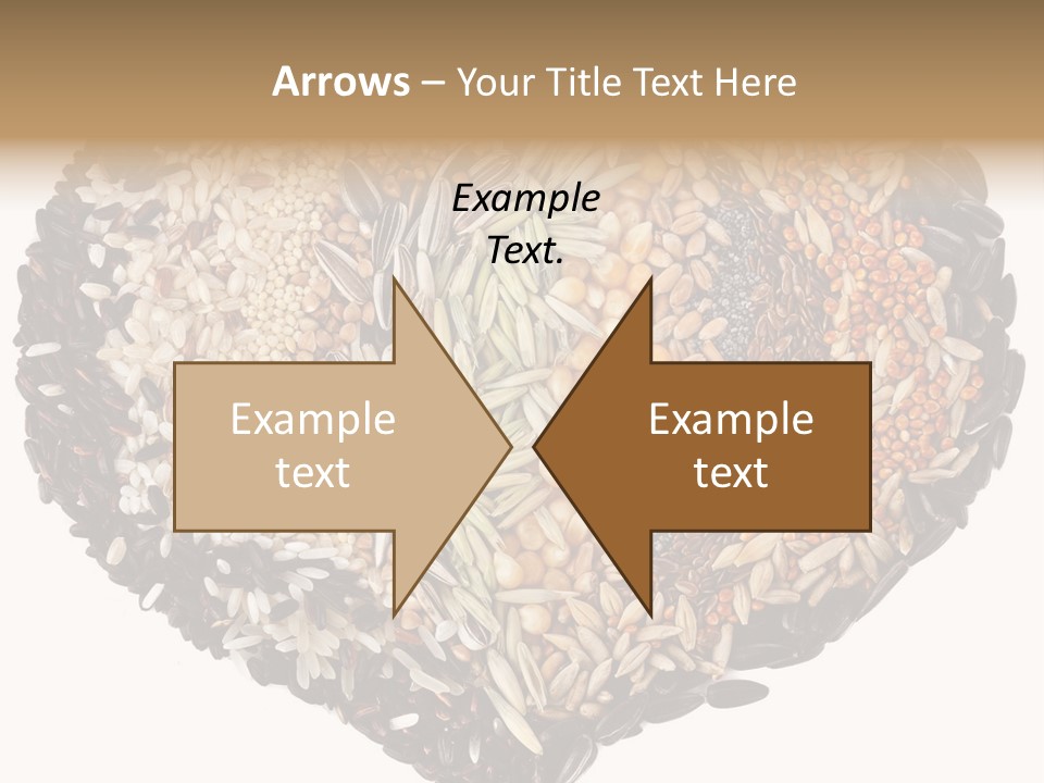 Seed Collection Sunflower PowerPoint Template