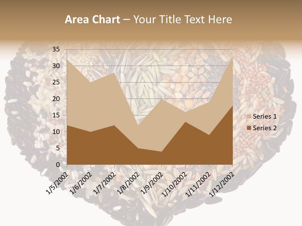Seed Collection Sunflower PowerPoint Template