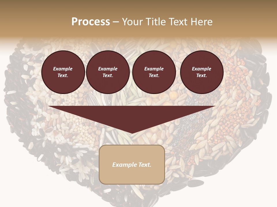 Seed Collection Sunflower PowerPoint Template