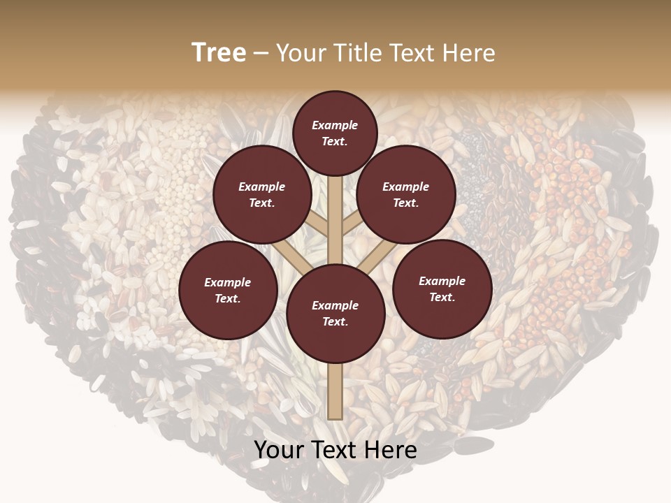 Seed Collection Sunflower PowerPoint Template