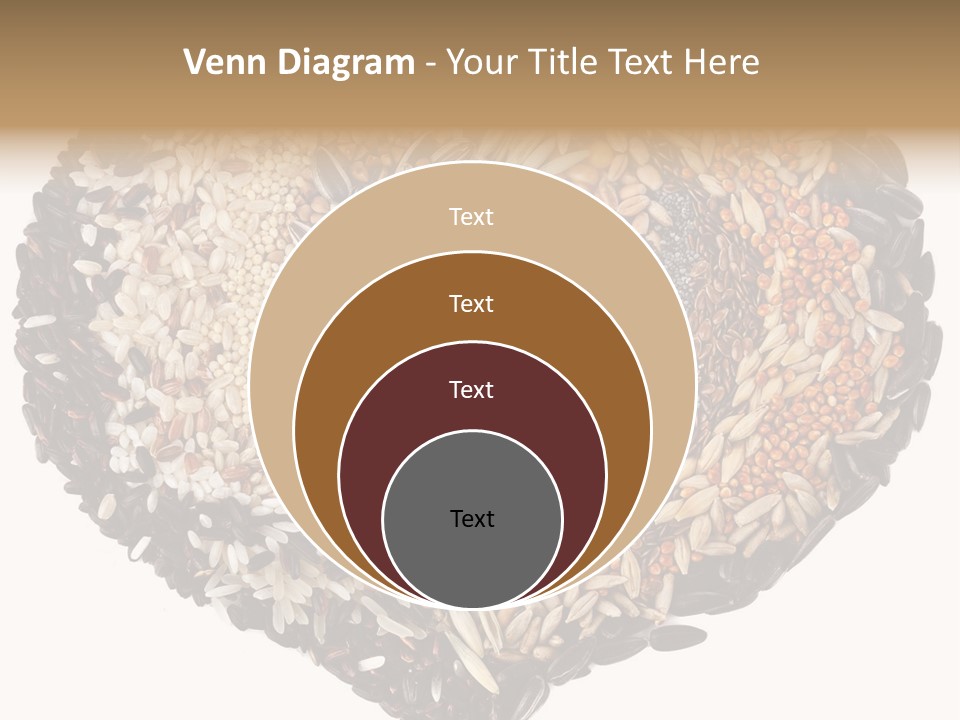 Seed Collection Sunflower PowerPoint Template