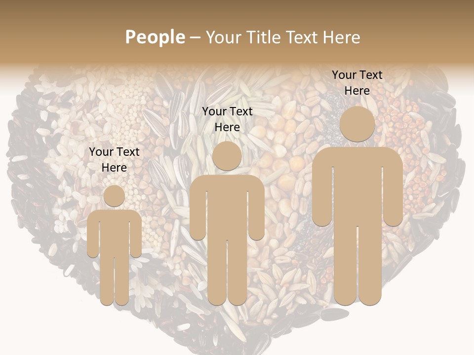 Seed Collection Sunflower PowerPoint Template