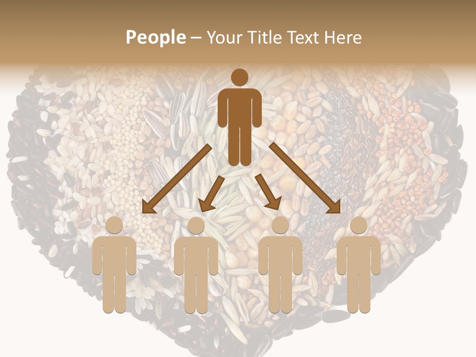 Seed Collection Sunflower PowerPoint Template