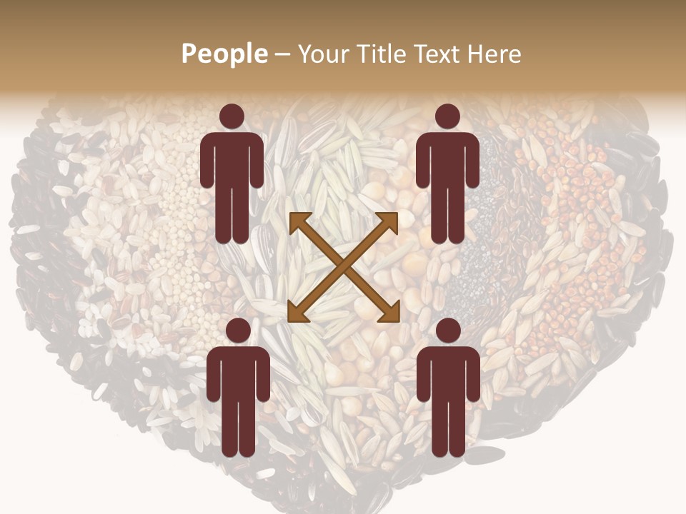 Seed Collection Sunflower PowerPoint Template