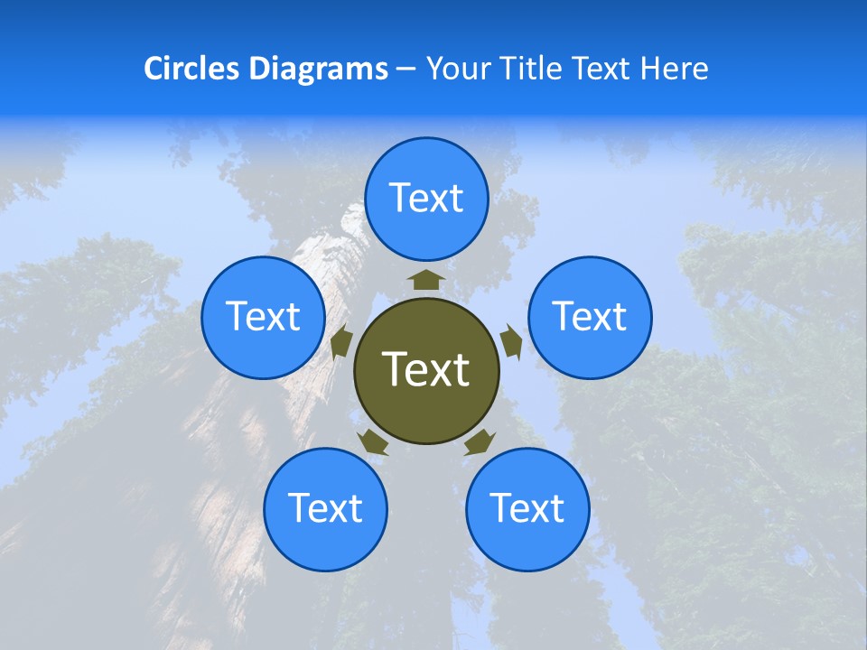 Beautiful Huge Height PowerPoint Template